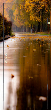 Фотография «Дверь с фотопечатью №5»